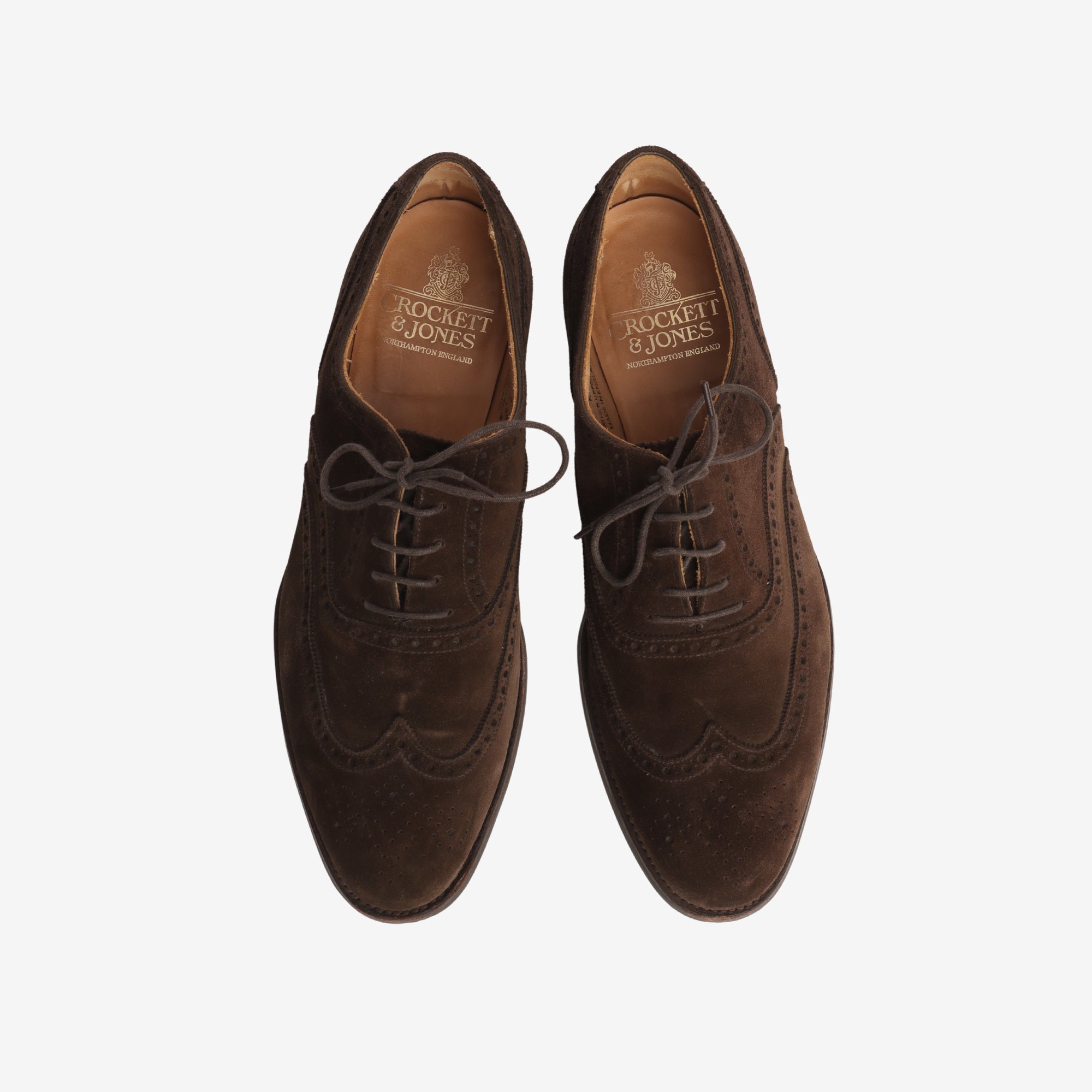 Westgate 2 Calf Suede Shoes