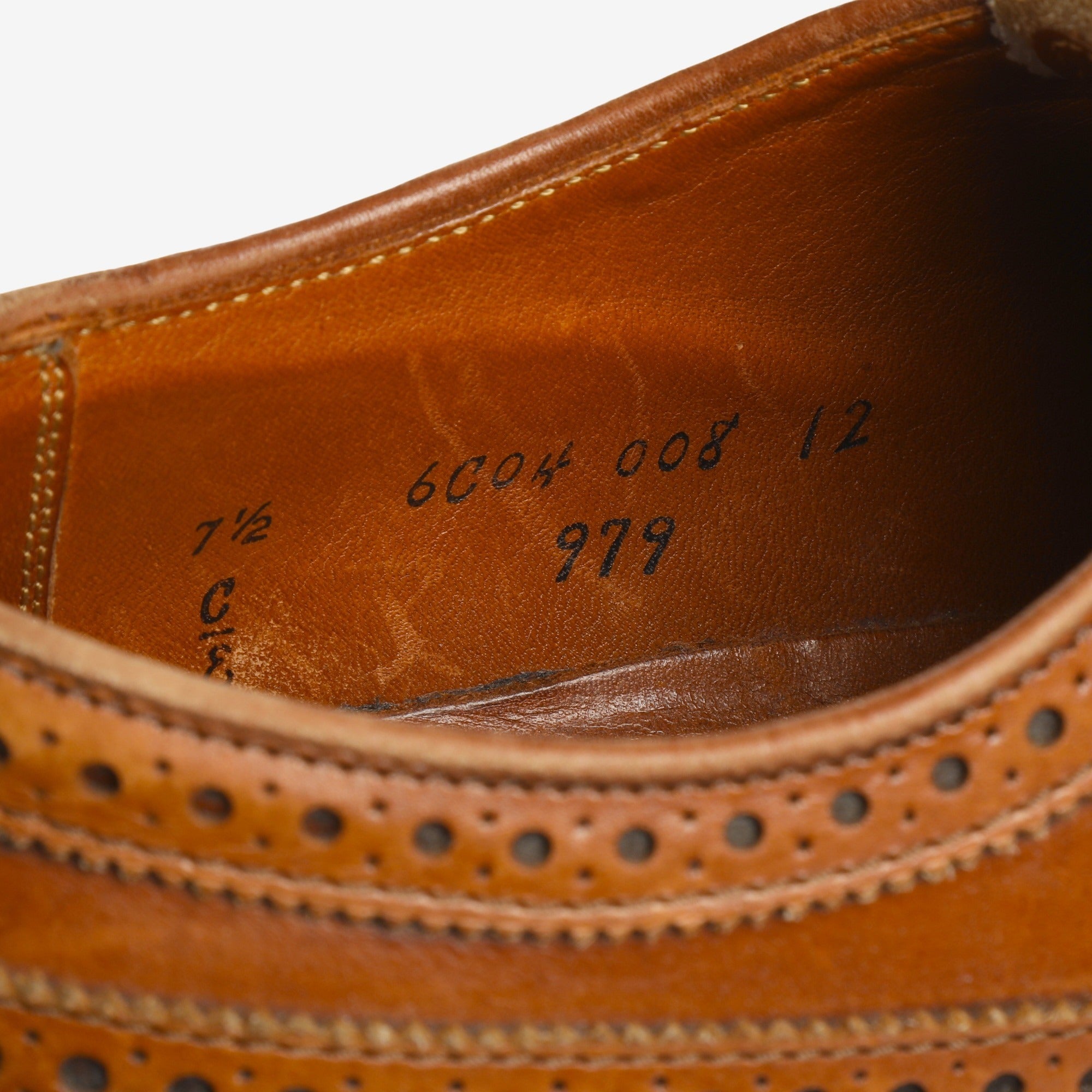 979 Long Wing Blucher