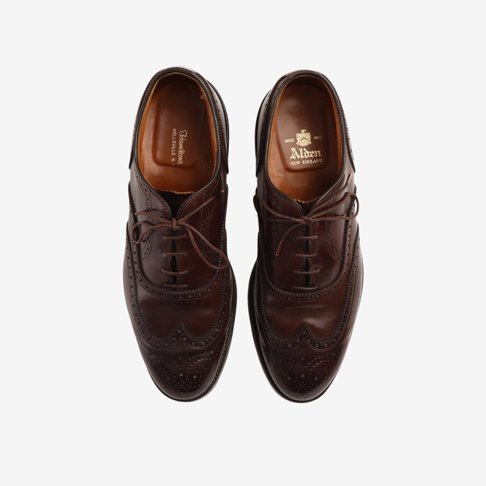 Color 8 Cordovan Wing Tip Bluchers