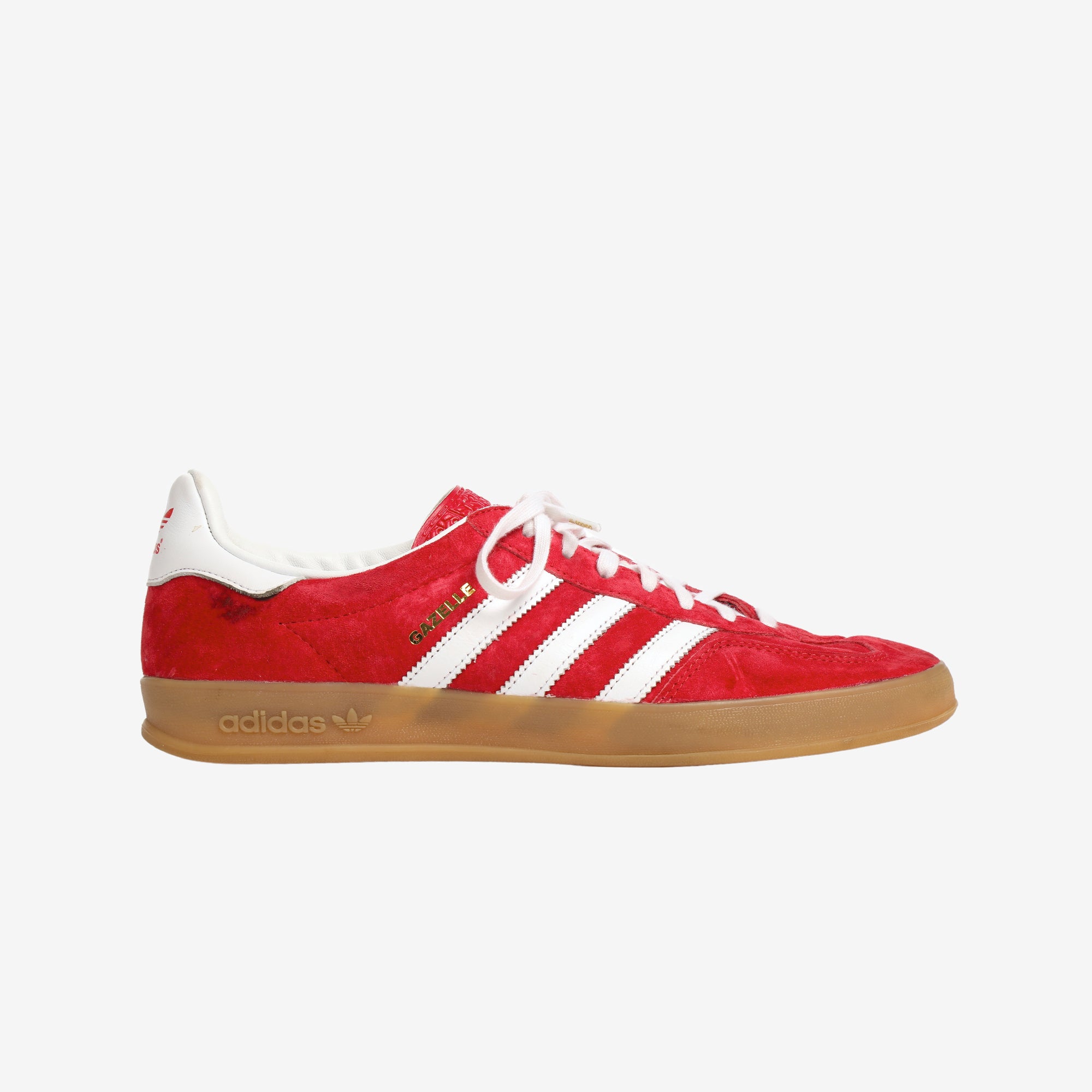 Gazelle Indoor