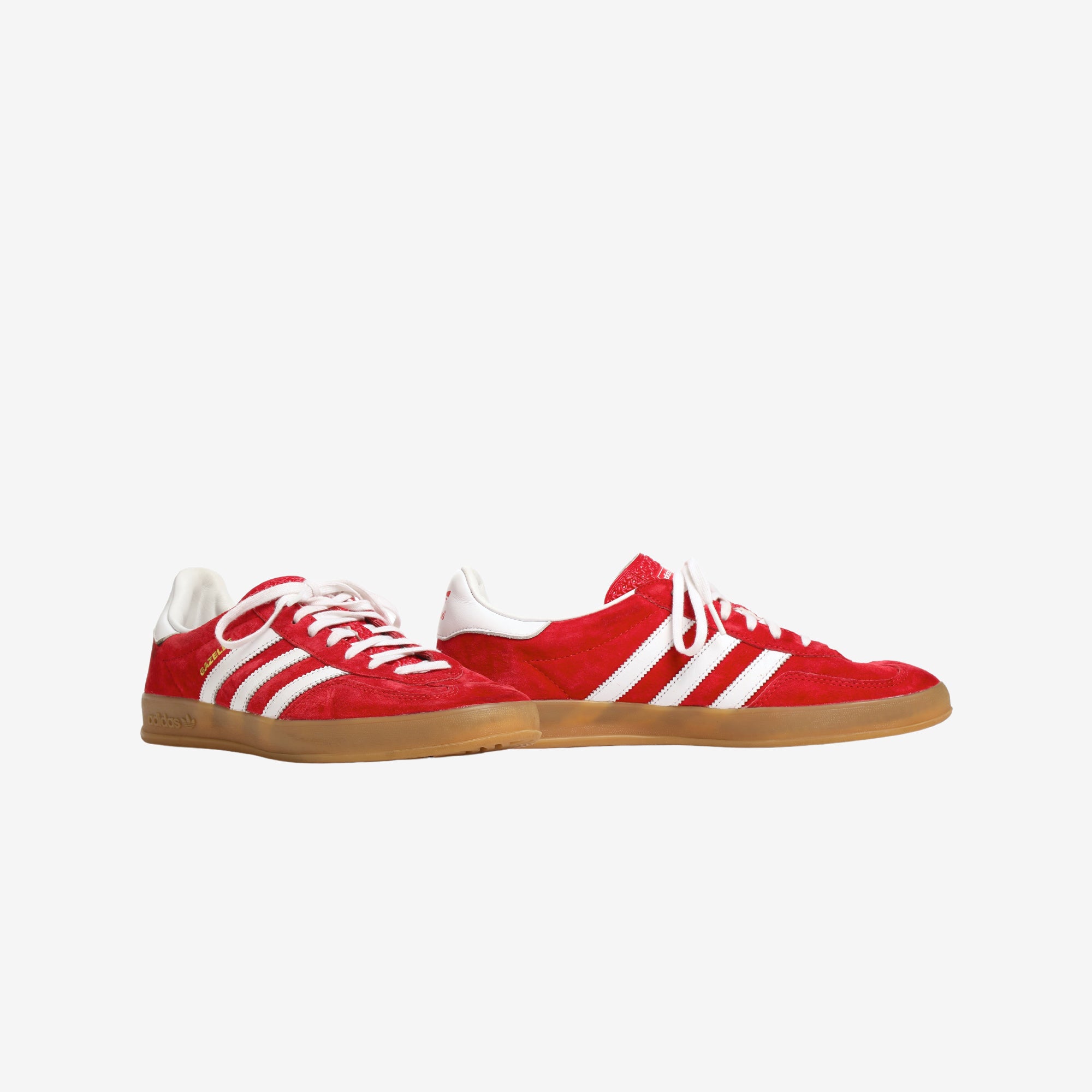 Gazelle Indoor